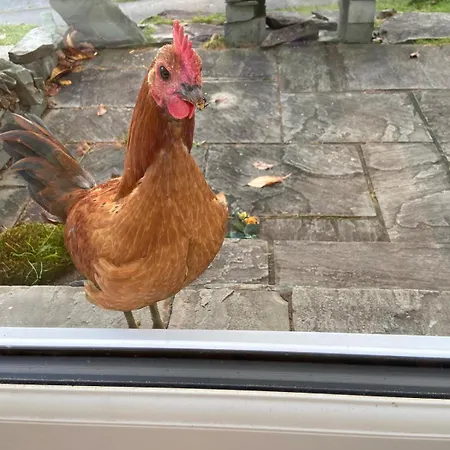 Cosy In Centre Of District National Park *